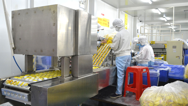 功能性粗粮饼干厂家就选广东玉祥集团食品！